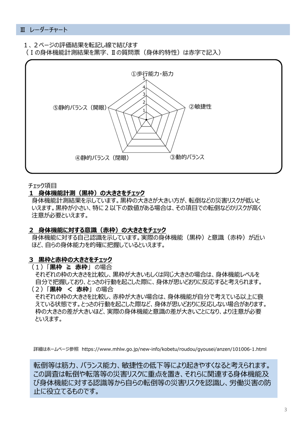 レーダーチャートのページ。歩行能力と筋力、敏捷性、動的バランス、静的バランスの閉眼と開眼という5つの軸を持つ五角形の図と、黒枠と赤枠の大きさを比べる3つのチェック項目が掲載されている。